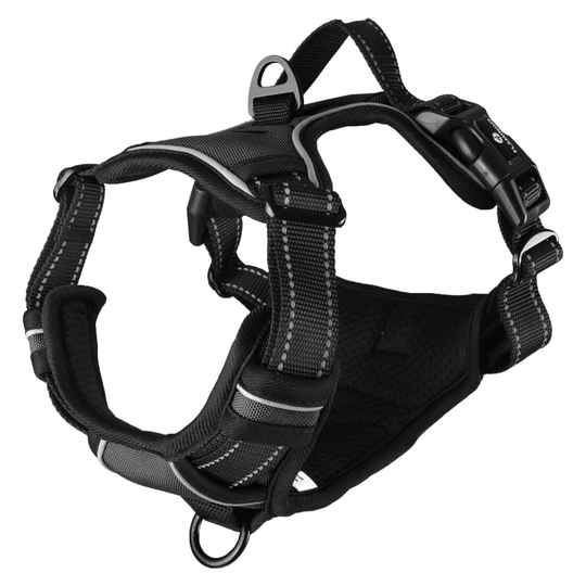 FLAMINGO Hundsele Balou svart M 50-65 cm 25mm