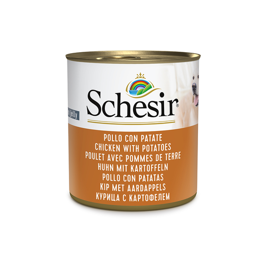 Schesir våtfoder 6 x 285 g - Kyckling & potatis