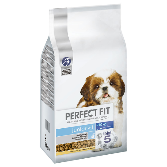 Perfect Fit Junior Small Dog