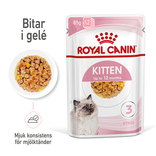 Royal Canin Kitten Jelly kattmat 12x85g