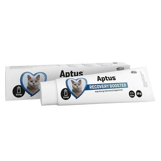Aptus Recovery Booster Cat Pasta 60 g