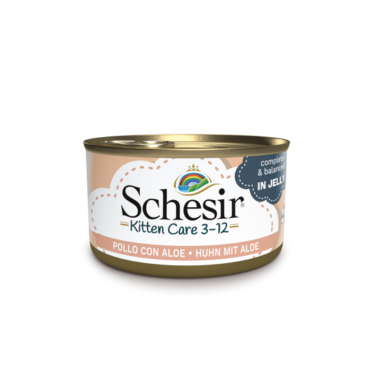 Ekonomipack: Schesir i gelé 24 x 85 g Kitten: Kycklingfilé & Aloe