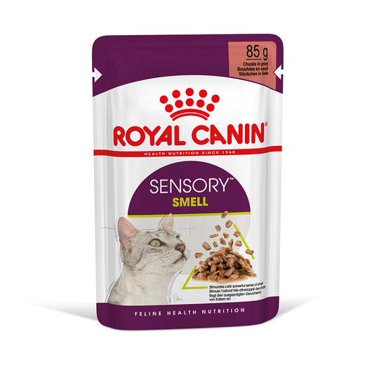 Royal Canin Sensory Smell i sås - 12 x 85 g
