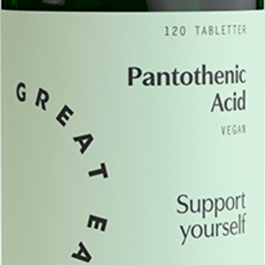 Great Earth Pantothenic Acid 120 tabletter