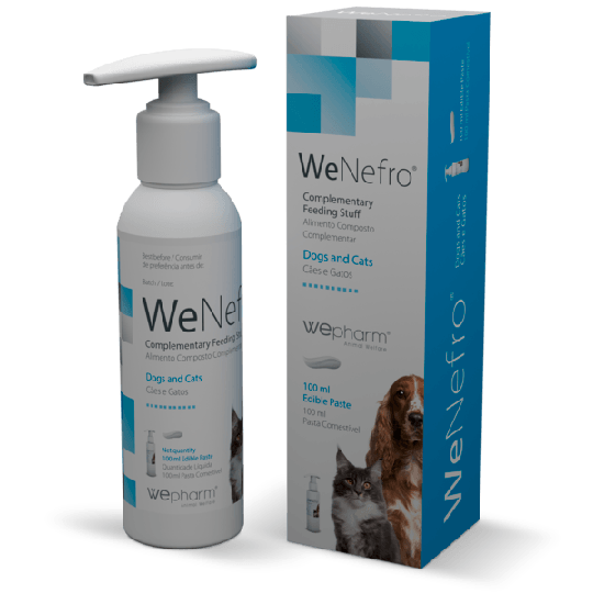 Wepharm WeNefro Pasta 100 ml