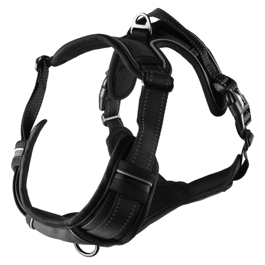 FLAMINGO Hundsele Balou svart XL 80-105 cm 25mm