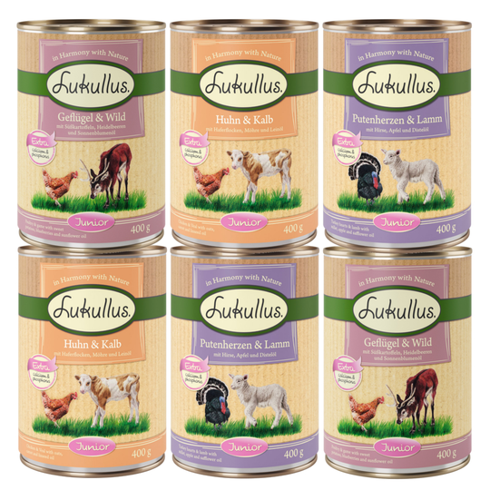 Blandat provpack: Lukullus Junior - 6 x 400 g