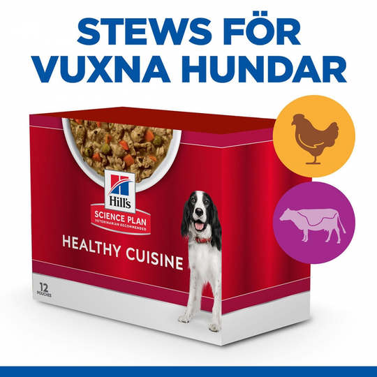 Hill's Science Plan Canine Adult Healthy Cuisine Chicken & Beef 12x90 g