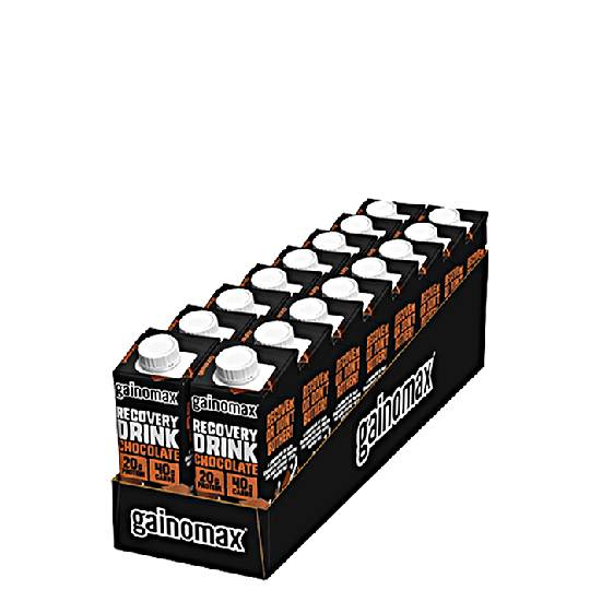 16 x Gainomax Recovery, 250 ml, Chocolate